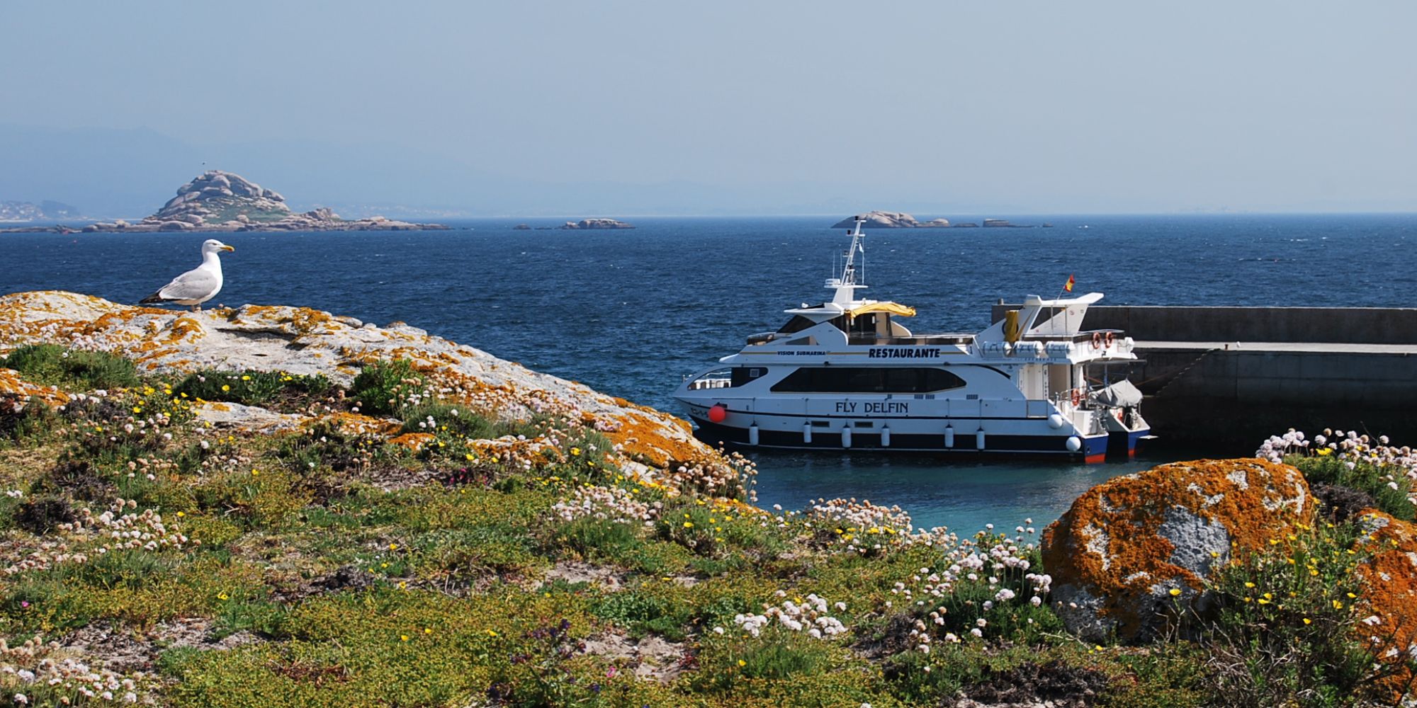 barco-salvora