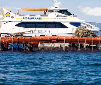 Barco de los mejillones